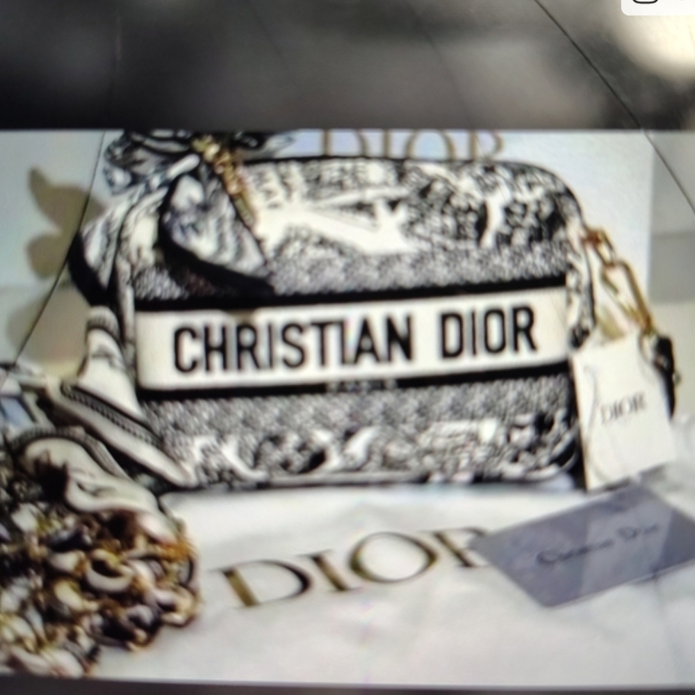 Christian Dior Black & White Logo Camera Bag With Crossbody Chain